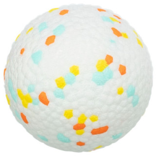 TRIX106301_1_produit.jpg