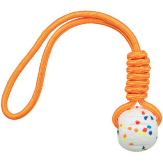 TRIX106304_1_produit.jpg