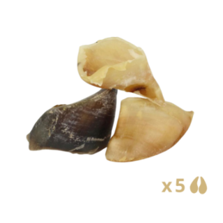 780701_1_produit.png