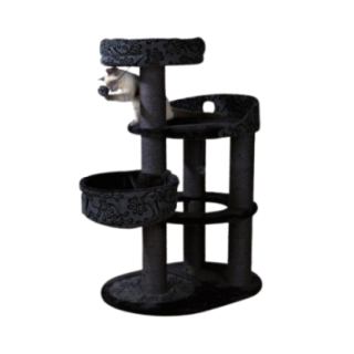 43467_2_insitu.png