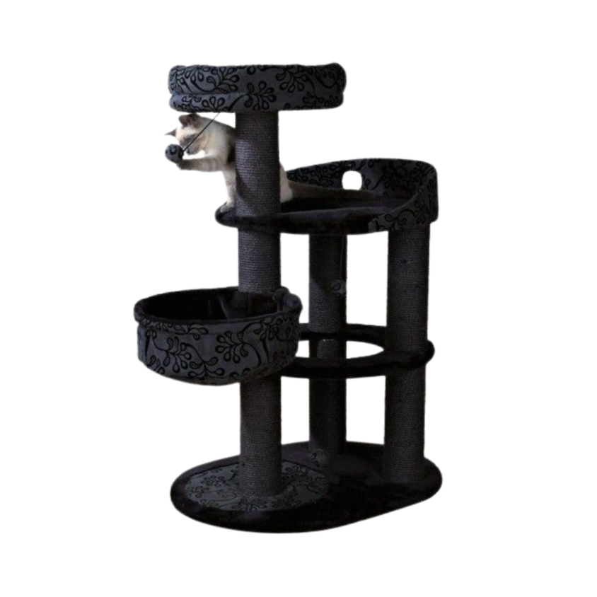 43467_2_insitu.png