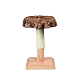 46580_1_produit.png