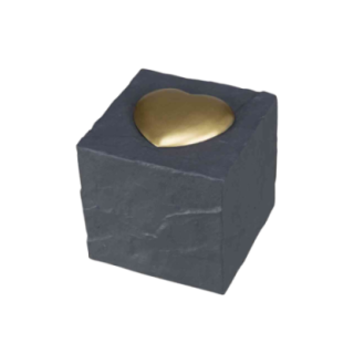 38415_1_produit.png