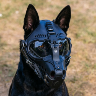 999449-2_4_insitu.png