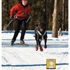 Calendrier FSLC (canicross)