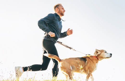 Laisse pour courir avec son chien - mains libres