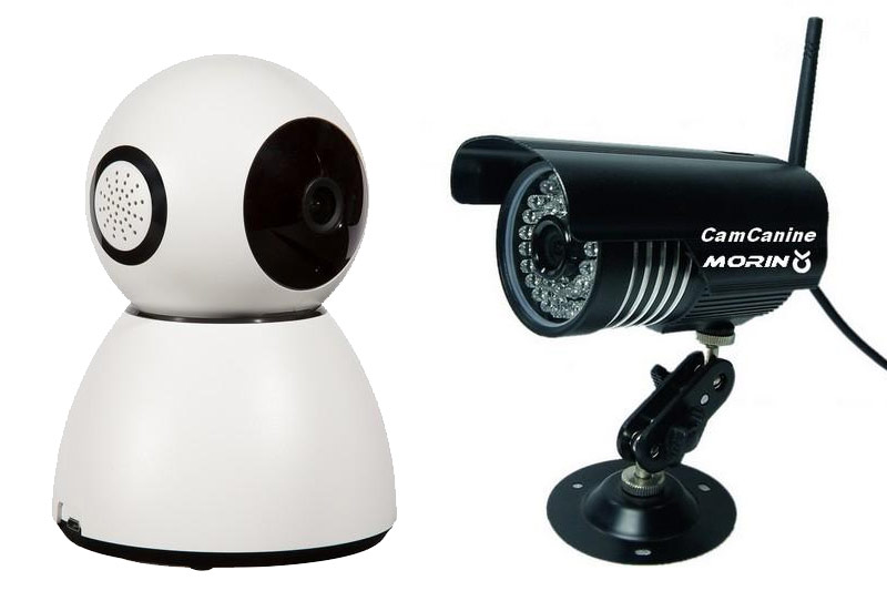 Caméra de surveillance pour chien et chat