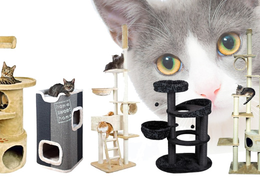 Accessoires pour arbre à chat : quels produits choisir ?