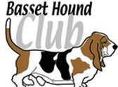 Basset Hound