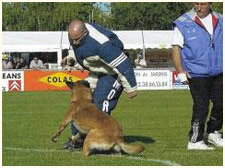 Championnat de France en Ring