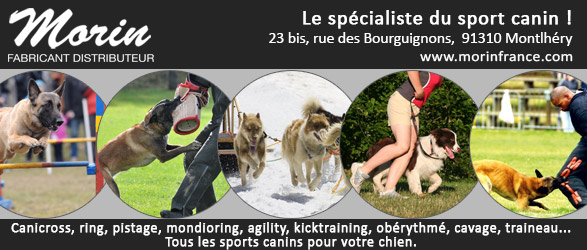 ”Morin France, le spécialiste du sport canin/></a></body></html>