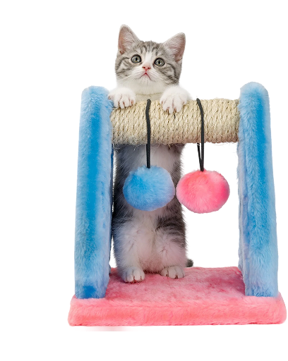 Accessoires & Jouets