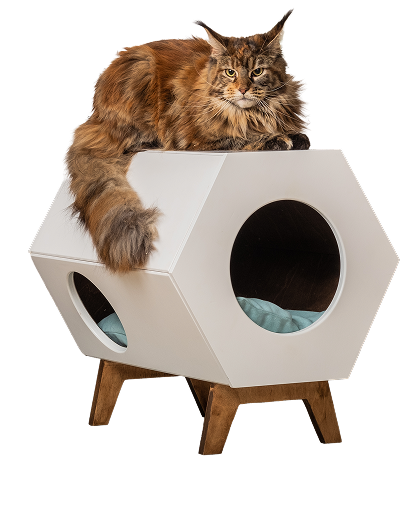 Habitat & Confort