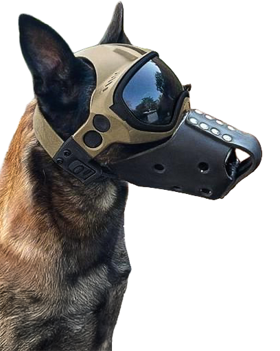 Pour les chiens et leur environnement