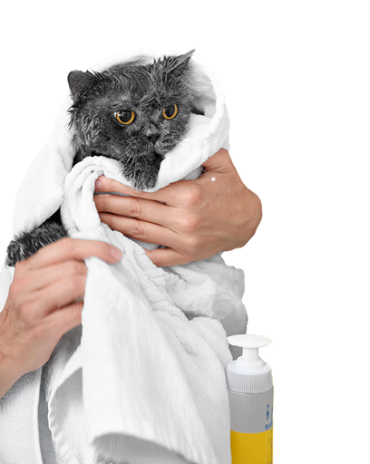 Toilettage & entretien