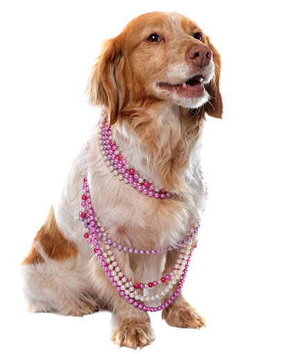 Accessoires & Quincaillerie