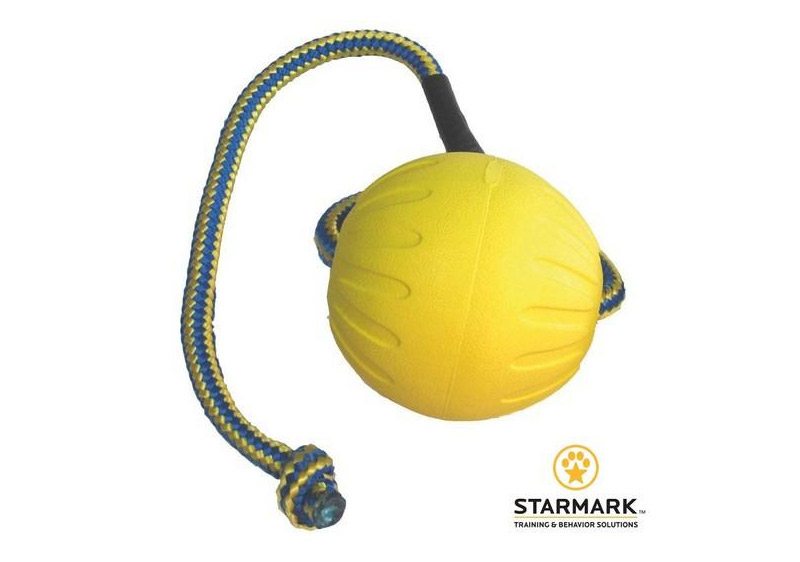 jouets  pour chiens et chiots Starmark