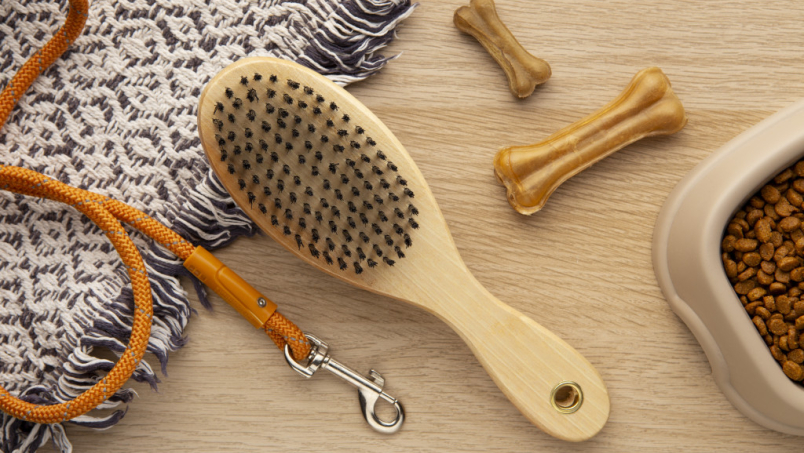 Quels sont les accessoires indispensables pour un chien ?