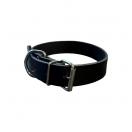 Collier chien rivet - Noir