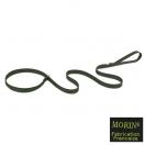 Laisse lasso nylon pour chien