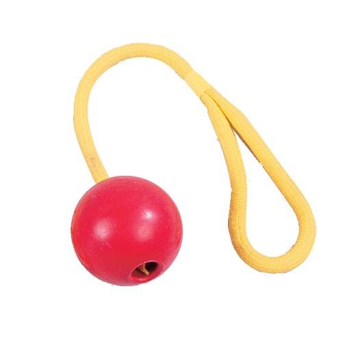 Balle caoutchouc mousse pour l'eau. Balles et ballons, jouet pour chien.  Morin, accessoires et jouets pour chien et chiot