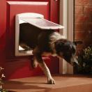 Porte pour chiens Original - Staywell - image 4