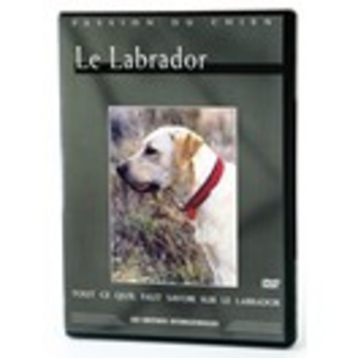 Le Labrador - DVD Passion du chien.