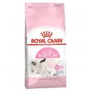 Royal Canin Baby Cat pour chatons