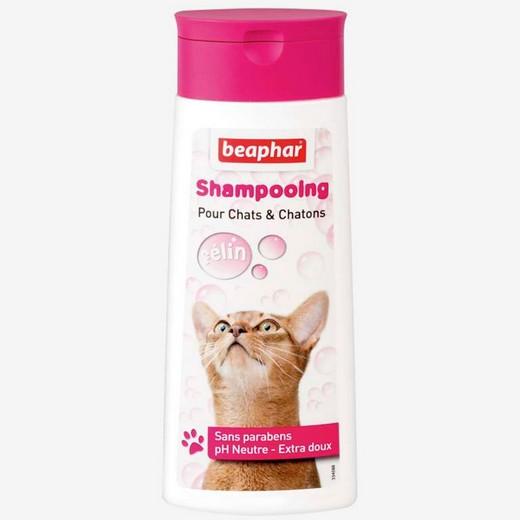 Shampooing doux spécial chats et chatons
