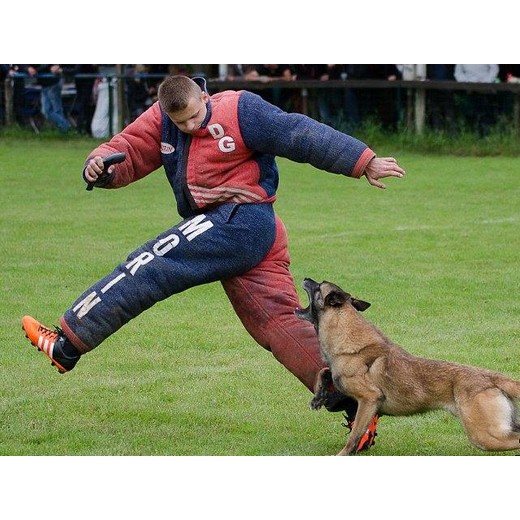 Costume entraînement - MORIN Sport Canin Costume entraînement - MORIN Sport Canin