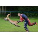 Costume semi-entra�nement - MORIN Sport Canin - image 7