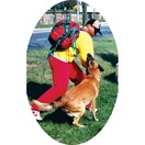Costume déconditionnement avec Kevlar - MORIN Sport Canin - image 2