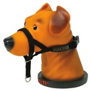 Collier dducation HALTI pour chien