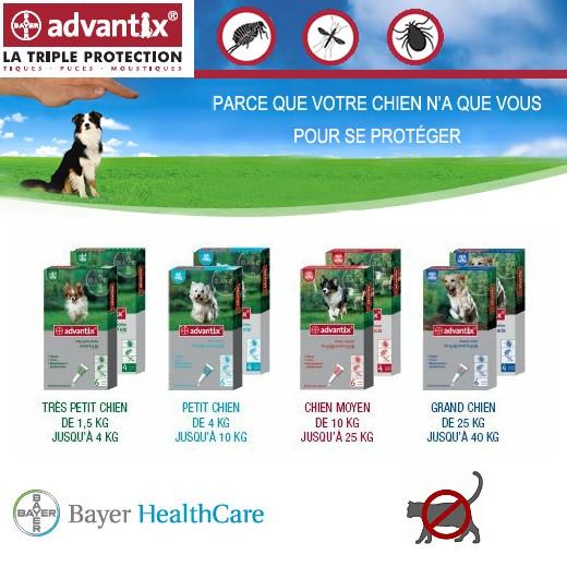 ADVANTIX Chiens moyens (10 à 25 kg) Boite de 4 pipettes