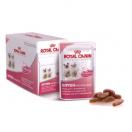 Royal Canin sachet fraicheur Kitten Instinctive