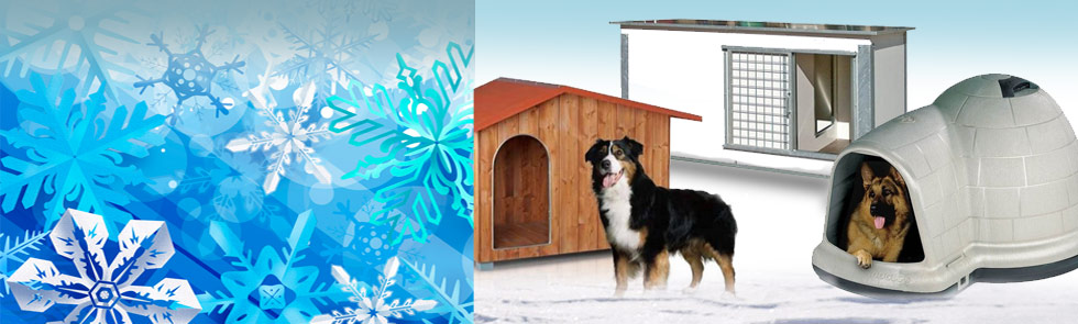 Articles Et Accessoires Pour Chiens Chats Sport Canin