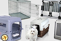 Cage de transport Kim. Morin : Caisses et accessoires pour le transport et  le voyage en voiture, train ou en avion pour chiens ou chats