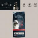 Flatazor Prestige Energy Sport - Croquettes pour chien sportif. - image 1