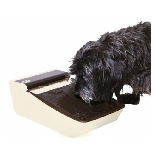 Cool Fresh Fontaine à Eau Morin Accessoires Et