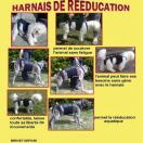 Harnais de rducation pour chien