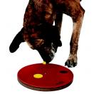 Roulette - Jeu de stratgie pour chien - Niveau 2