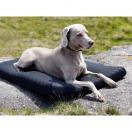 Matelas pour chien en tissu thrapeutique - image 3