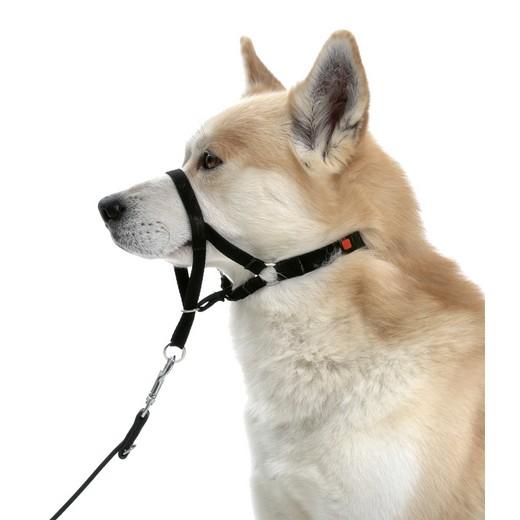 Collier d'éducation Dog Control type Halti. Sellerie en NYLON