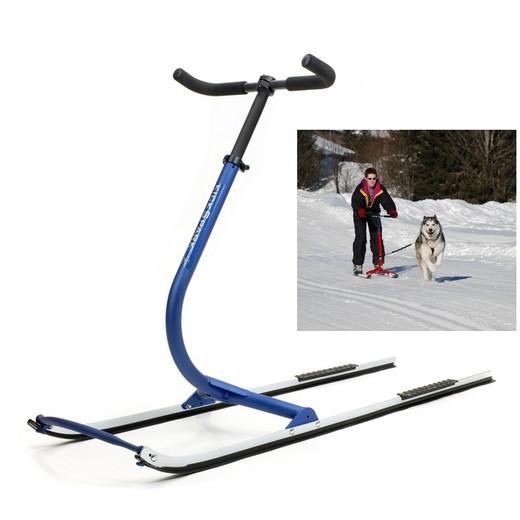 Canitrotinette - footbike Verybig-226-1