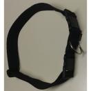 Ceinture ECO - Canicross - image 3