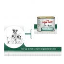 Wet Starter Mousse - Royal Canin