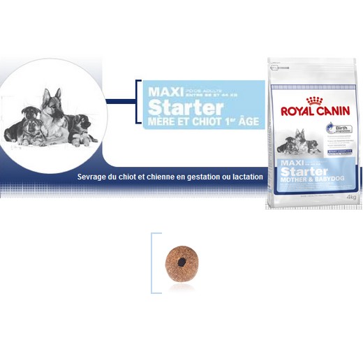 Maxi Starter - Royal Canin pour chiot