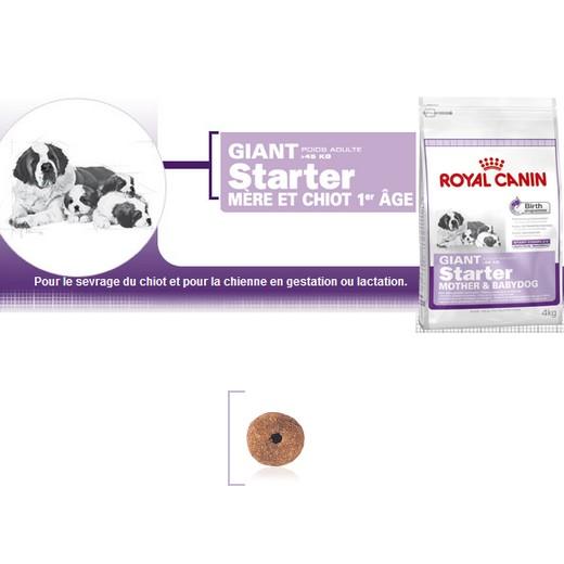 Giant Starter - Royal Canin pour chiot