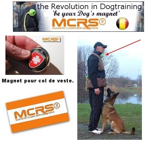Magnet aimanté petit modèle (pour col de veste) - MCRS