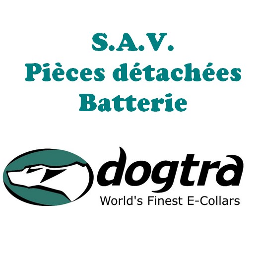 Batterie Dogtra 3.7 V 200 mAh LI-PO